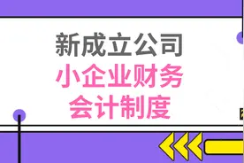 新成立公司都在用：小企业财务会计制度，让你企业规范化图片