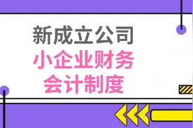 新成立公司都在用：小企业财务会计制度，让你企业规范化图片