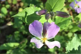 我的故事：朝阳大悦城一日游图片
