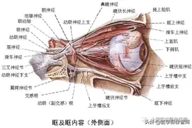 眶内肌锥内外病变影像诊断与鉴别图片