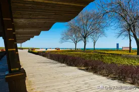 山东荣成，比威海市区冬温高、夏温低、日照充足，还有一点更重要图片
