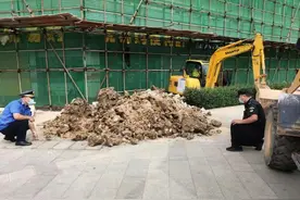 重罚！市政道路不是你想挖就能挖图片
