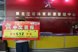 花了1512元！哈尔滨全职主妇代夫领走533万大奖图片