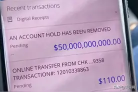 美夫妇银行账户突然多出500亿美元 成世界第25富人：自称感觉很酷图片