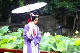 西安莲湖公园雨中赏荷，空旷安静雨中景色别样美图片