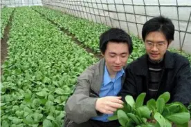 农村怎样才能留住人图片
