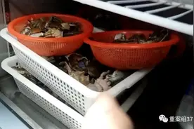 卧底网红餐厅“胖哥俩肉蟹煲”：隔夜死蟹当现杀活蟹卖，土豆腐烂、发馊后继续用，店家授意上菜“缺斤少两”图片