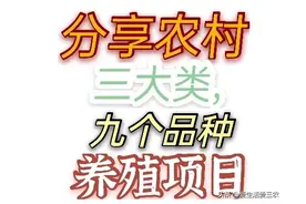 这些发家致富的机会，你能把握住吗？创业真没有那么难的图片