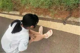 随处可见的第一毒蛇，如何成为钓鱼人的噩梦？被它咬伤后什么感受图片