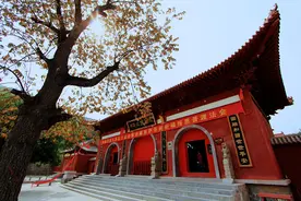 焦作一家4A级景区，不收门票停车免费，网友：景区就该如此图片