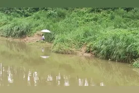 夜钓回来看见只猫，吓惨我了，不知道钓友们夜晚有没有遇到过图片