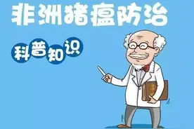 非洲猪瘟防控须知（法治讷谟尔）图片