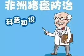 非洲猪瘟防控须知（法治讷谟尔）图片