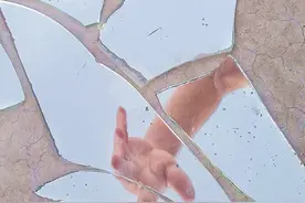 认识你三生有幸，不认识就更好了｜他曾爱过一个离婚的女人图片
