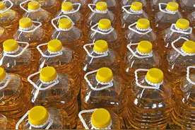 每天吃大豆油的危害比糖还可怕？玉米油、菜籽油、橄榄油，吃哪种图片
