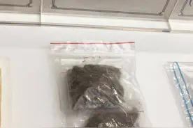 上海男子在国外吸大麻成瘾，回国后毒瘾发作网购毒品入境图片