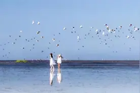 串珠成链，黄海岸边最美公路来了，带你一路欢歌，一路嗨图片