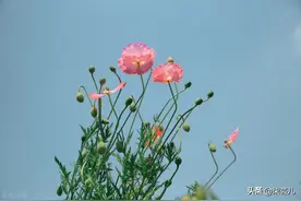 婚外情的女人，对情人的感情可以维持多久？听听女人的心里话图片