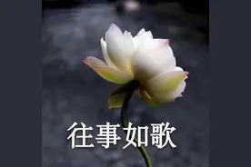 和你妈妈聊天你用对表情包了吗？图片