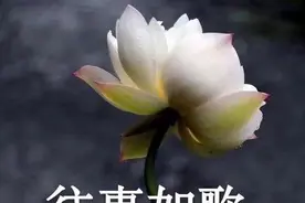 和你妈妈聊天你用对表情包了吗？图片
