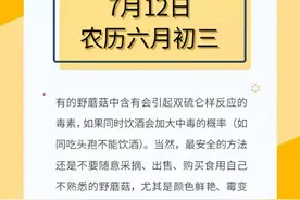 健康日历｜吃野蘑菇不能饮酒图片