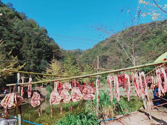 秋风吻尽银杏叶，艳遇醉美帽子峰