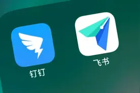 联合国亲自种草，飞书、钉钉这两款产品凭什么被安利？图片