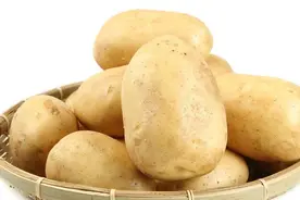 怎么去除黑眼圈？用土豆和燕麦自制天然眼霜图片