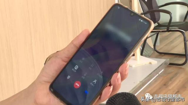 金青鸟 2026年金青鸟的叫声