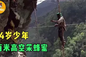 14岁少年爬100米悬崖采蜂蜜，给3个弟妹赚学费！纪录片图片