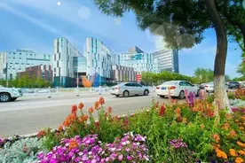 重点项目齐发力！再显“灞”气图片