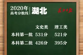 刚刚！湖北2020年高招各批次录取线公布图片
