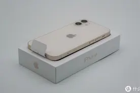 我买了很多人都说翻车的iPhone12mini图片