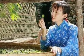 万万没想到！一棵茶树竟可结出6种茶叶~你是最后一个知道的吗？图片