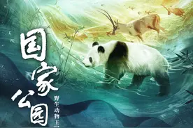 中国“明星动物”成团亮相《国家公园：野生动物王国》图片