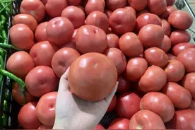 使用催熟剂的西红柿怎么辨认？有这4个特征，远离激素番茄图片