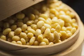 东北大豆破2.7元，进口暴涨40%，还要涨？企业为何停产？图片