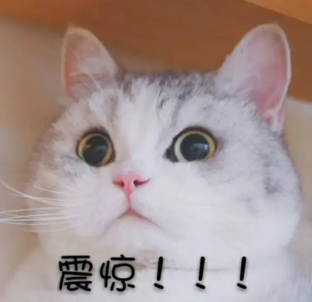 婴儿用的面霜和身体乳
