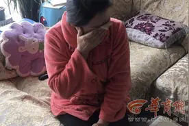 手机收到消息，支付宝花呗欠款3万余元，西安女子却查不到钱咋花的图片