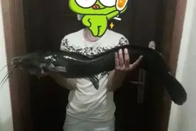 什么鱼最难吃？这4种鱼钓起来很好玩，但吃的人却很少图片