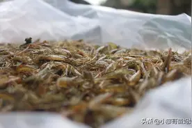 贵州特色-酸辣椒煮虾子，汤汁特别鲜美，好吃又下饭图片