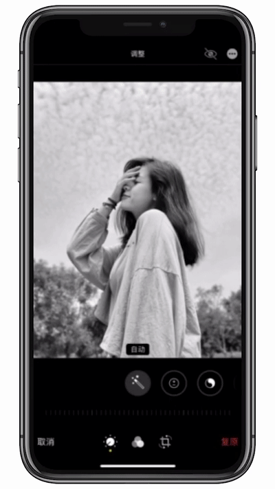 如何利用live photo剪辑出更精彩的画面 - 琴策网