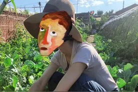 又一女星迷上种菜！车晓蹲菜地采摘毫无包袱，一个西红柿近9两重图片