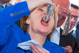 难以接受的鲱鱼罐头，却是瑞典人的救命稻草，每年能吃900吨图片