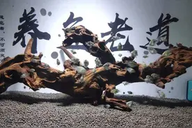 如何选择过滤棉，怎么提高滤棉过滤的有效性，提高它的使用价值？图片