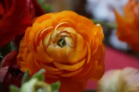 走进五十岁，走进后半生，致自己图片