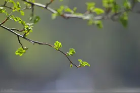刘立夫｜孟子：“万物皆备于我”与神秘主义图片