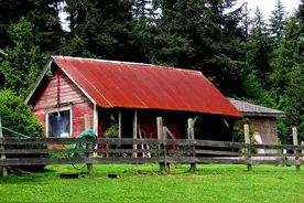 歪果网友分享自己"暂时逃避现实"的方法，压力大时可以试试了图片