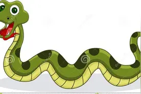 农村住的房子经常有蛇会跑进来，这到底是好事还是坏事图片