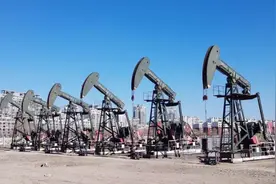 我国为何还进口石油？塔里木盆地石油储量不是已超178亿吨了吗？图片
